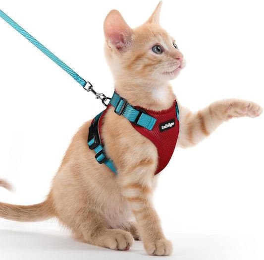 rabbitgoo Cat Harness and Leash Set, Escape Proof Kitten Harness for Safe Outdoor Walks, Soft Breathable Adjustable Vest with Reflective Strips for Kittens and Extra Small Cats, Red & Teal, XXS