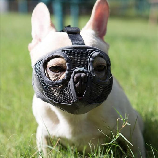 Short Snout Dog Muzzles- Adjustable Breathable Mesh Bulldog Muzzle for Biting Chewing Licking Training Grooming Dog Mask (Grey, Small/9"-12")