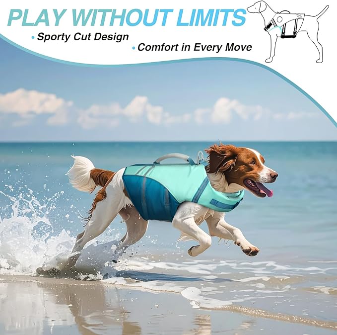 VIVAGLORY Sports Style Dog Life Vest, Dog Life Jacket for Swimming & Boating, Ripstop & Buoyancy for Puppy Doggy, Lifejacket with Handle, M, Cyan