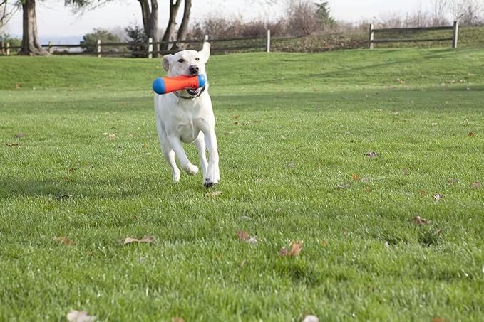 Chuckit! Amphibious Tumble Bumper Dog Toy, Floats on water,Large