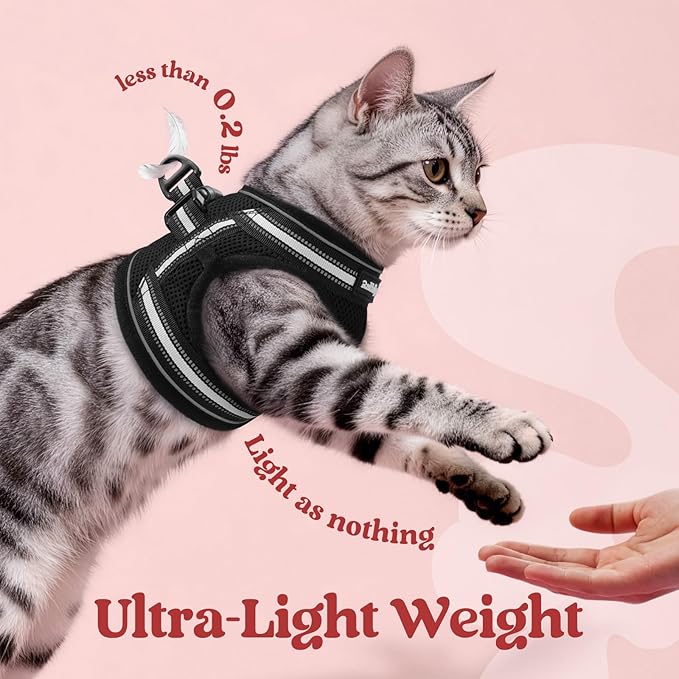 rabbitgoo Cat Harness and Leash, Step-in Escape Proof Kitten Harness Set, Soft Comfortable Cat Vest, Easy to Wear and Adjust, Reflective for Safe Outdoor Walking, Black, Medium