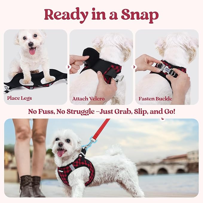 rabbitgoo Dog Harness Small Sized and Leash Set, Step in Soft Light Puppy Vest, Breathable Mesh Pet Harness, Reflective for Safe Easy Walking, Red Check XS