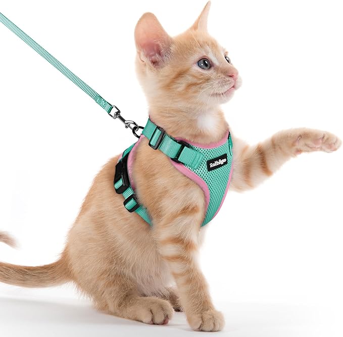 rabbitgoo Cat Harness and Leash Set, Escape Proof Kitten Harness for Safe Outdoor Walks, Soft Breathable Adjustable Vest with Reflective Strips for Kittens and Extra Small Cats, Green & Pink, XXS