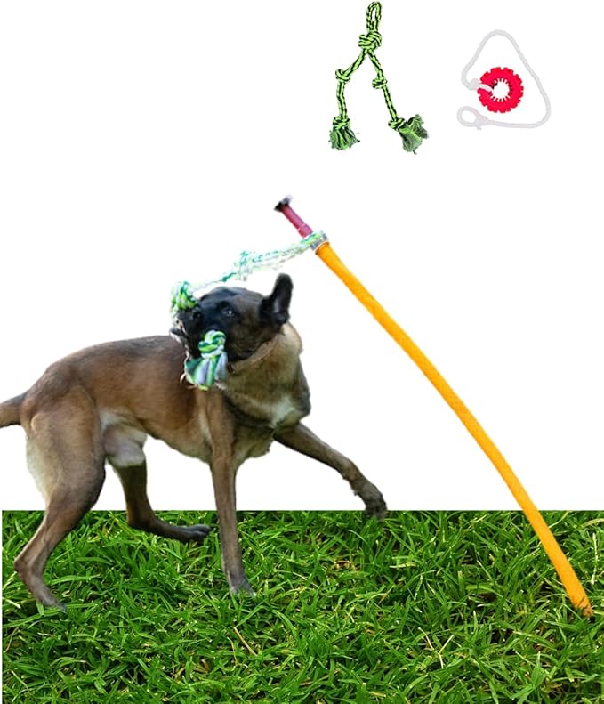 Outdoor Tug of War Toy for Dogs Rope Toy – Interactive Exercise Game in Yard, Agility, Medium, Large Extra Large & Small Breed –– Dogs Training Tools & Exercise Equipment, Belgian Malinois