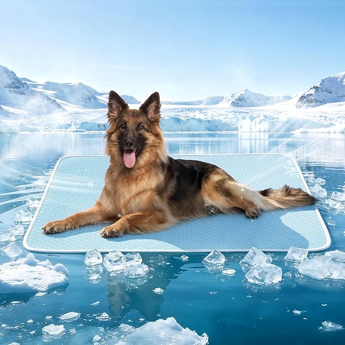 Mora Pets Dog Cooling Mat Instant Self Cooling Pad for Dogs & Cats Breathable Washable Summer Pet Cool Mat Indoor Outdoor, Cold Blanket for Floor Crate Car Travel Use Non Slip XLarge 48 x 30 inch Blue