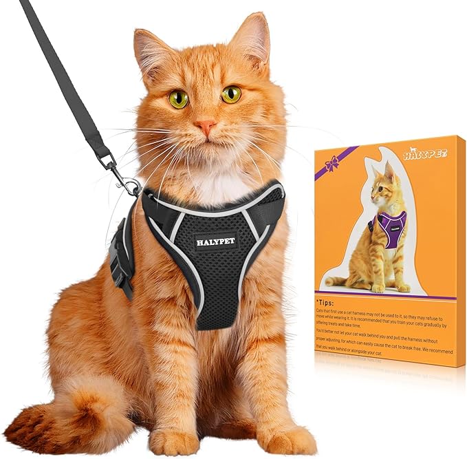 Halypet Cat Harness and Leash Set [MAX Safety 4th-Gen Upgrade] Escape Proof Adjustable Cat Leash Comfortable Soft Vest Easy to Wear Kitten Harness with Reflective Strip for Cats Walking, M Black