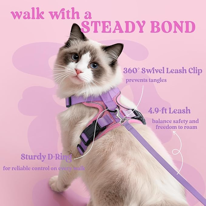 rabbitgoo Cat Harness and Leash Set, Escape Proof Kitten Harness for Safe Outdoor Walks, Soft Breathable Adjustable Vest with Reflective Strips for Kittens and Small Cats, Pink & Purple, XS