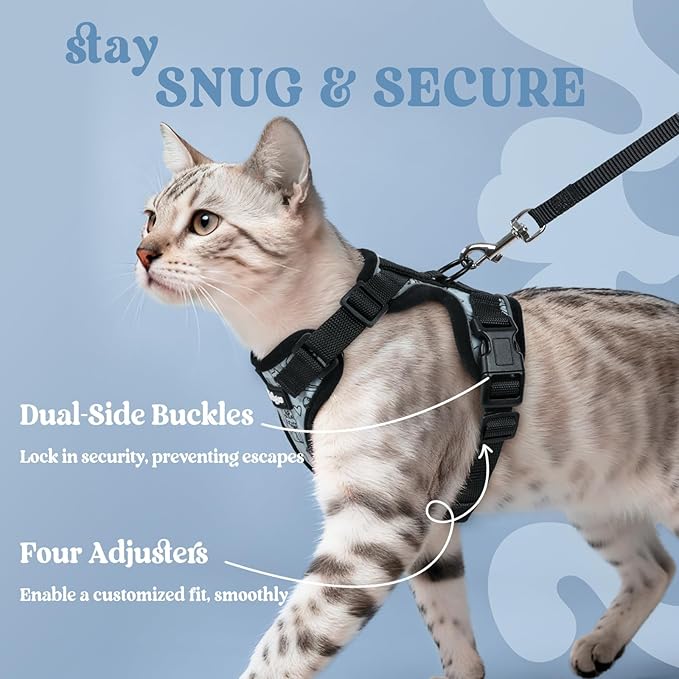 rabbitgoo Cat Harness and Leash Set, Escape Proof Kitten Harness for Safe Outdoor Walks, Soft Breathable Adjustable Vest with Reflective Strips for Kittens and Extra Small Cats, Doodle Gray, XXS
