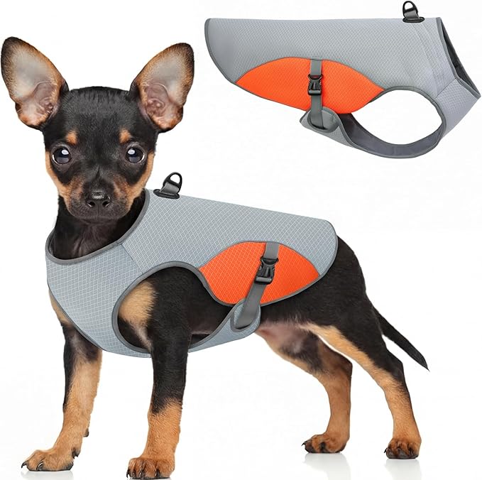Dog Cooling Vest for Small Dogs, Cooling Jacket for Dogs with Mesh and D Ring, Dog Reflective Stripe Jacket for Hot Weather, Orange-S
