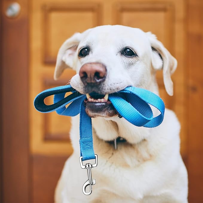 6 Pieces Dog Leash Bulk for Medium and Large Dog, Heavy Duty Nylon Pack Dogs Leashes Padded Handle Double Sided Reflective Puppy Collar for Walking, Training, 5 Feet(Classic)