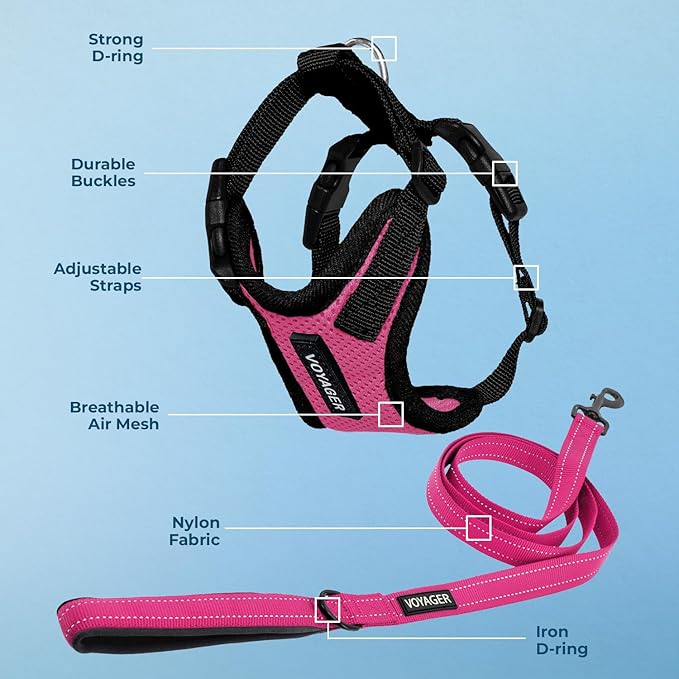 Best Pet Supplies Voyager Step-in Lock Pet Harness w Reflective Pet Leash Combo Set with Neoprene Handle 5ft - Supports Small, Medium and Large Breed Puppies/Cats - Fuchsia/Black Trim, S