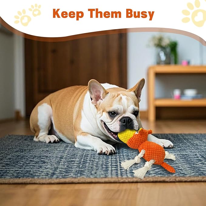TOOPTATE Squeaky Dog Toys - Cute Soft Plush Dog Toys for Large, Medium, Small Dogs and Puppies to Keep Them Busy (Orange, Medium)