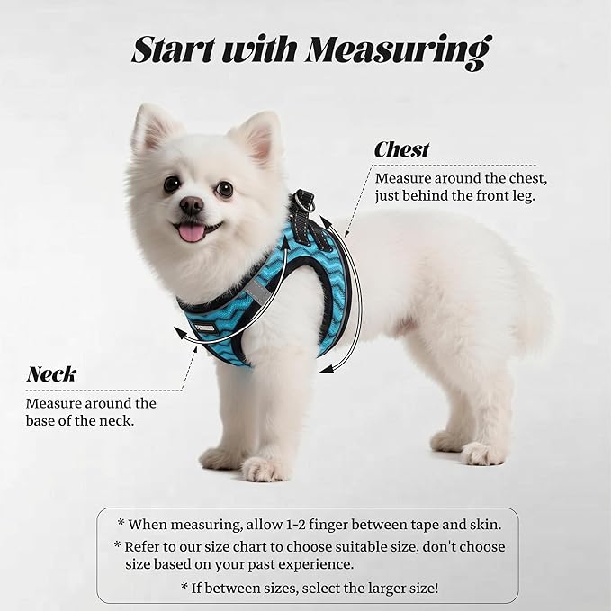 YIMEIS Dog Harness and Leash Set, No Pull Soft Mesh Pet Harness, Reflective Adjustable Puppy Vest for Small Medium Large Dogs, Cats (Blue, X-Small (Pack of 1)