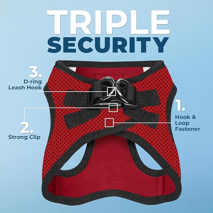 Best Pet Supplies Voyager Step-in Air All Weather Mesh Harness and Reflective Dog 5ft Leash Combo with Neoprene Handle, for Small, Medium and Large Breed Puppies - Set (Red/Black Trim), X-Small