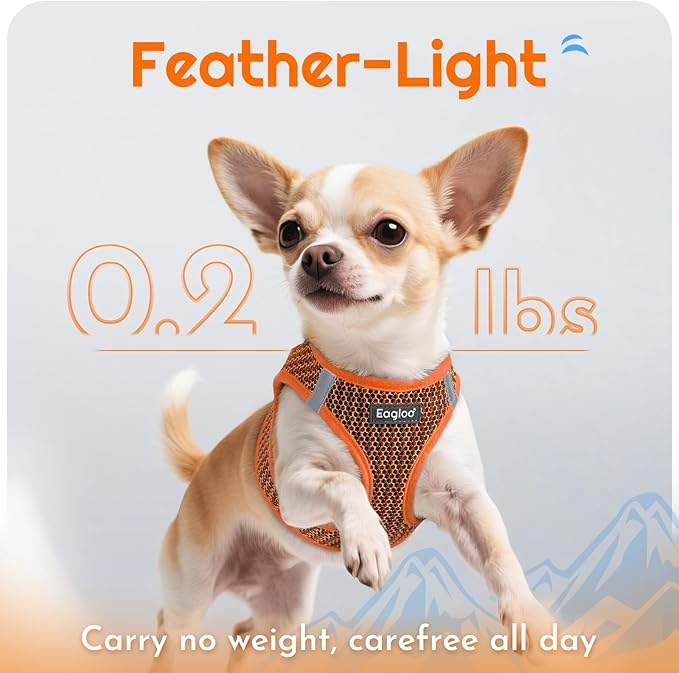 Eagloo Small Dog Harness and Leash Set, Step in Puppy Vest with Breathable Soft Mesh, Walking Reflective Pet Harness for Small Dogs, Orange, XS