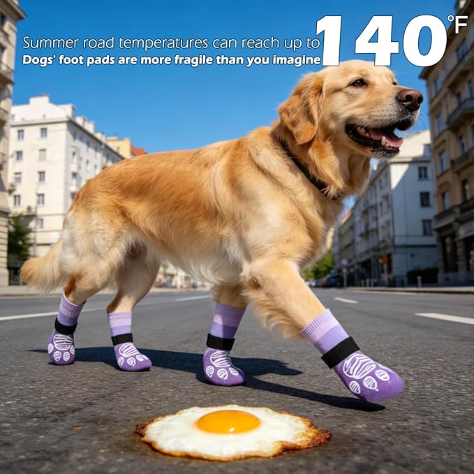 EXPAWLORER Anti Slip Dog Socks to Prevent Licking Paws, Dog Shoes for Hot Pavement, Dog Booties for Hardwood Floors, Dog Boots & Paw Protectors with Grippers for Small Medium Large Senior Dogs M
