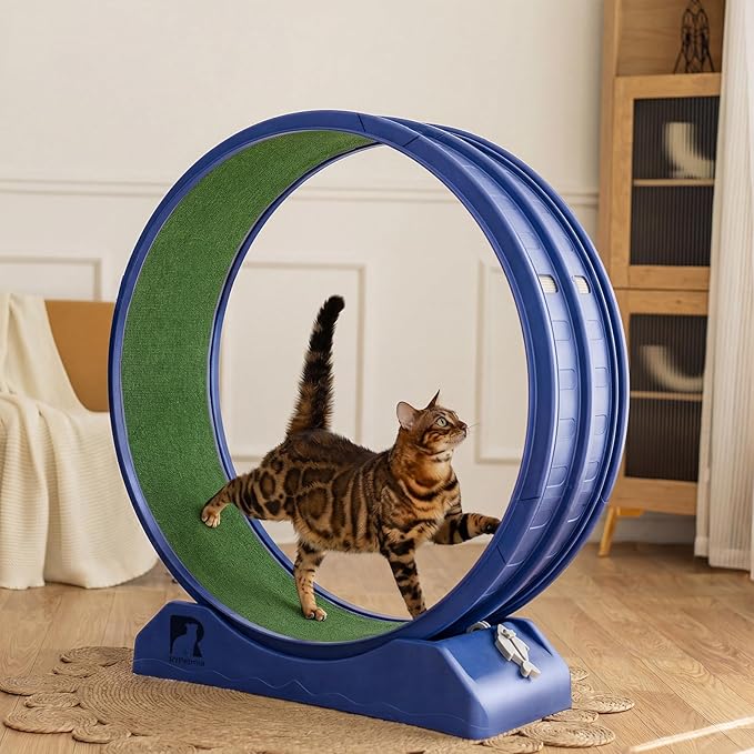 Cat Exercise Wheel, 39.4 Inch Indoor Treadmill for Cats with Carpeted Runway, Screw-Fixed Assembly for Easy Setup, Silent & Safe Fitness Equipment for Most Cats