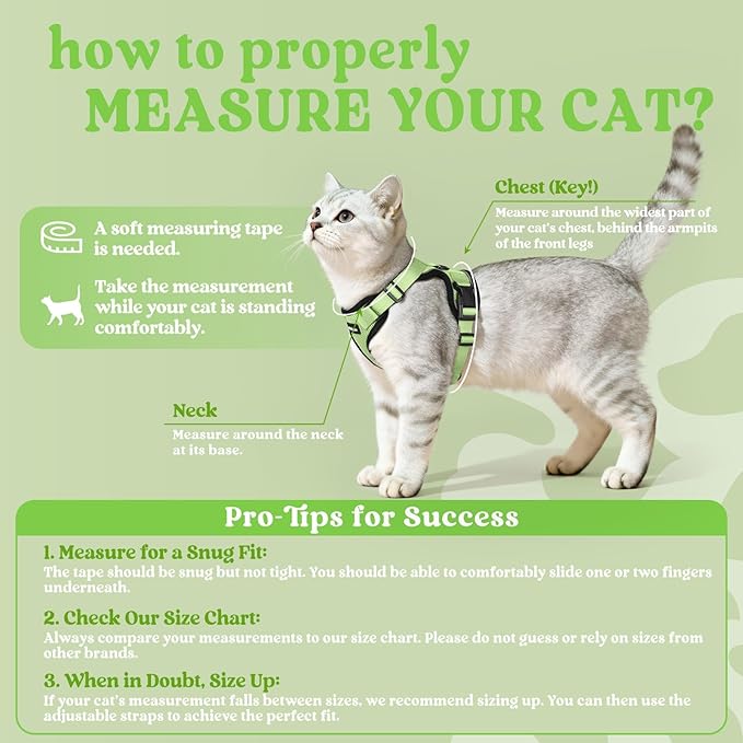 rabbitgoo Cat Harness and Leash Set, Escape Proof Kitten Harness for Safe Outdoor Walks, Soft Breathable Adjustable Vest with Reflective Strips for Kittens and Small Cats, Light Green, XS