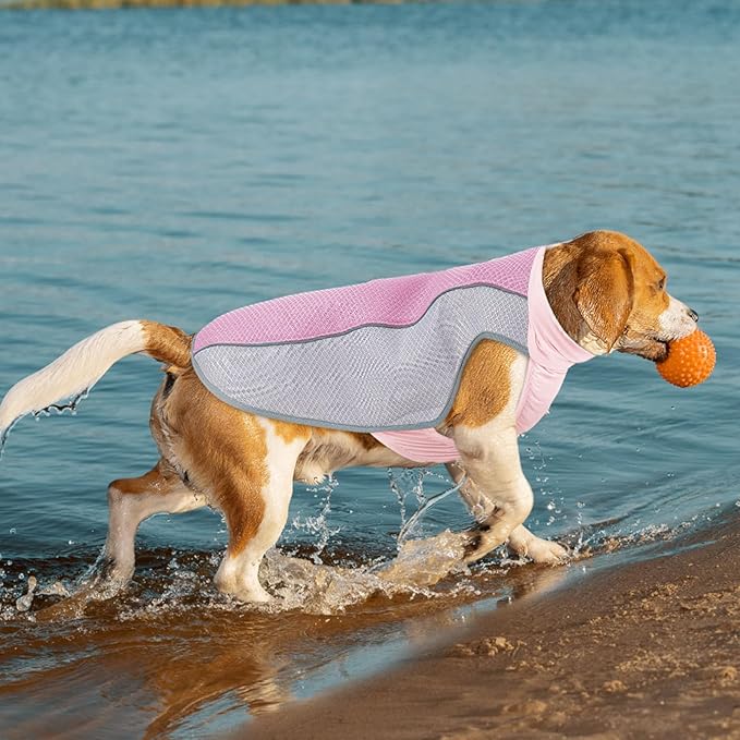 Dog Cooling Vest for Summer, Breathable Mesh Cooling Shirt Jacket for Dogs Summer Heat Relief, Lightweight Cooling Dog Harness Pet Cooler Suit for Outdoor Hiking Walking Hot Weather(Pink XL)