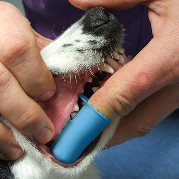 Pet Republique Dog Finger Toothbrush Set of 3 - Dental Hygiene Brushes for Small to Large Dogs, Cats, and Most Pets - Small Size Finger Opening