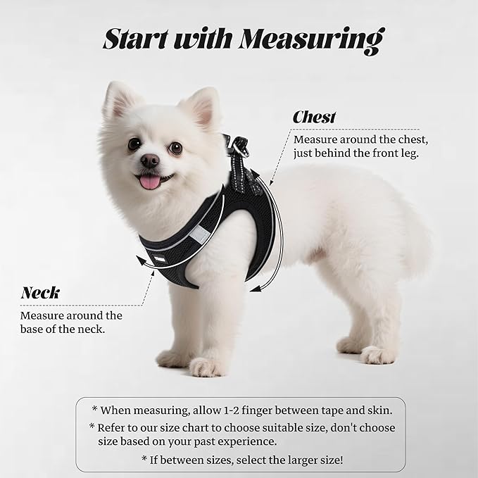 YIMEIS Dog Harness and Leash Set, No Pull Soft Mesh Pet Harness, Reflective Adjustable Puppy Vest for Small Medium Large Dogs, Cats (Black-Update, Medium (Pack of 1)