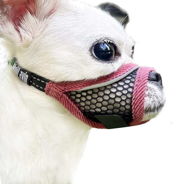 Dog Muzzle for Small Medium Dogs Breathable Adjustable, Chihuahua Shih Tzu Puppy, Soft Air Mesh Muzzle for Grooming Vet Visits, Prevent Biting Fierce Barking (Cherry-red, M)