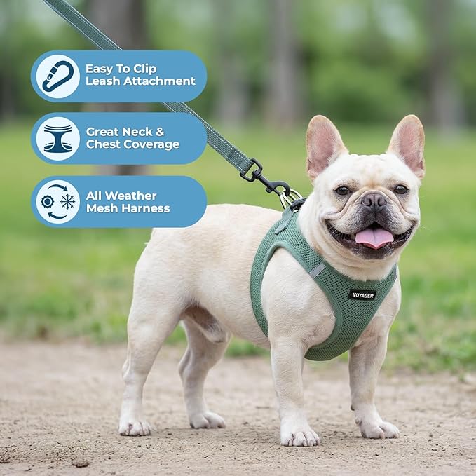 Best Pet Supplies Voyager Step-in Air All Weather Mesh Harness and Reflective Dog 5ft Leash Combo with Neoprene Handle, for Small, Medium and Large Breed Puppies - Set (Moss Green), X-Small