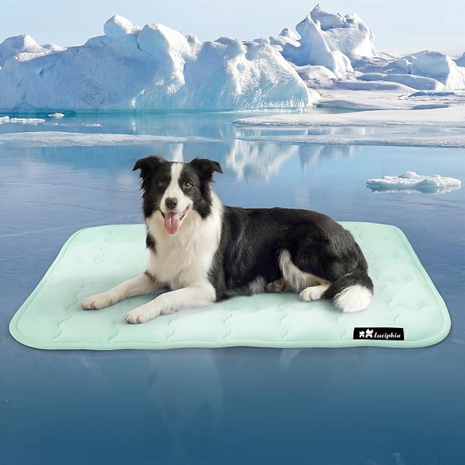 Luciphia Premium Dog Cooling Mat Non-Slip Q-MAX>0.5 Self-Cooling Pad for Medium Pet Indoor Portable Kennel Puppy Bed for Summer Crate Pad for Dog Washable Green 30x40 inches