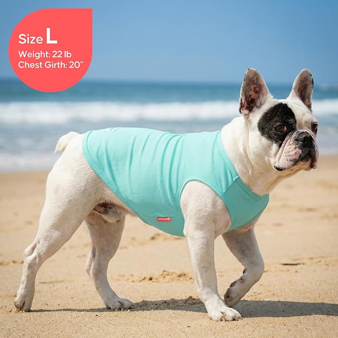 KYEESE 2Pack Dog Cooling Shirt, Breathable Dog Shirt for Small Dogs, Sun Protection Dogs Cooling Vest Tank Top, Lightweight Soft Sleeveless Summer Pet Clothes, Duck+Blue, M