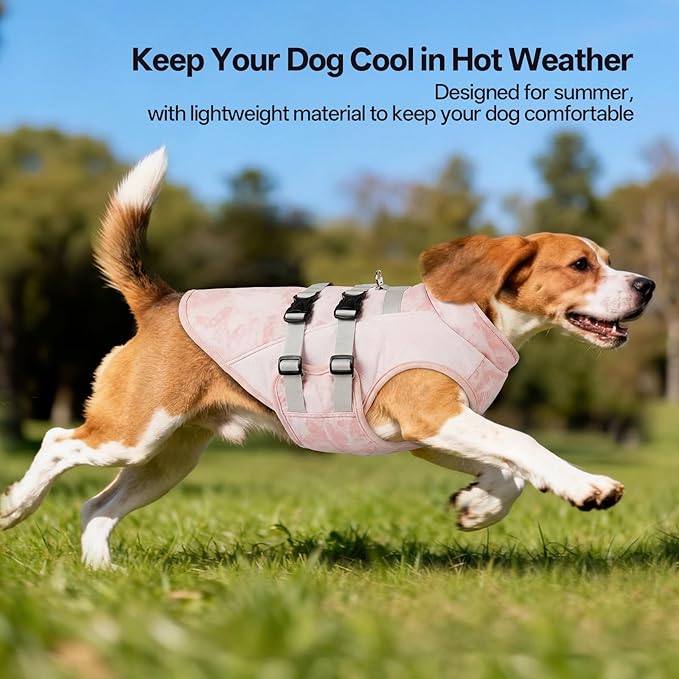 DORA BRIDAL Dog Cooling Vest for Summer, Lightweight Breathable Mesh Cooling Jacket with Harness, Soft Pet Cooler Shirt for Frenchie, UV Protection for Beach Hiking Walking -M, Pink