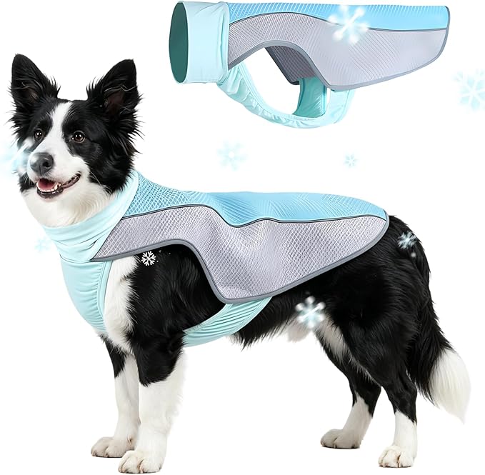 Dog Cooling Vest, Summer Cooler Jacket for Small & Medium Dogs Soft Breathable Mesh Lightweight Pet Shirt for Beach Hiking Walking (Blue,XL)