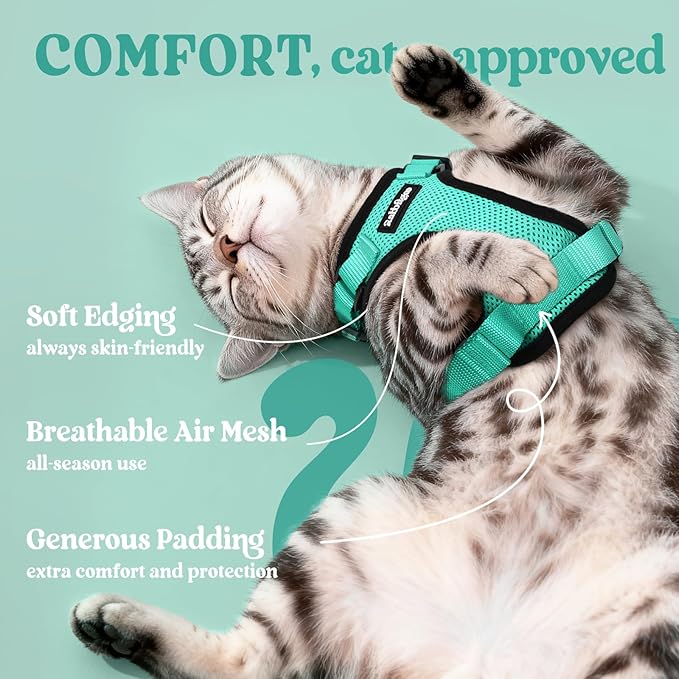 rabbitgoo Cat Harness and Leash Set, Escape Proof Kitten Harness for Safe Outdoor Walks, Soft Breathable Adjustable Vest with Reflective Strips for Kittens and Small Cats, Emerald, XS
