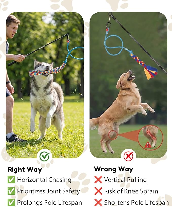 BurgeonNest Flirt Pole for Dogs, Interactive Dog Toy for Medium Small Dogs, with Replaceable Yellow Duck Toy & 2 Rope Toys, Dog Exercise Pole for Outdoor Training & Chase