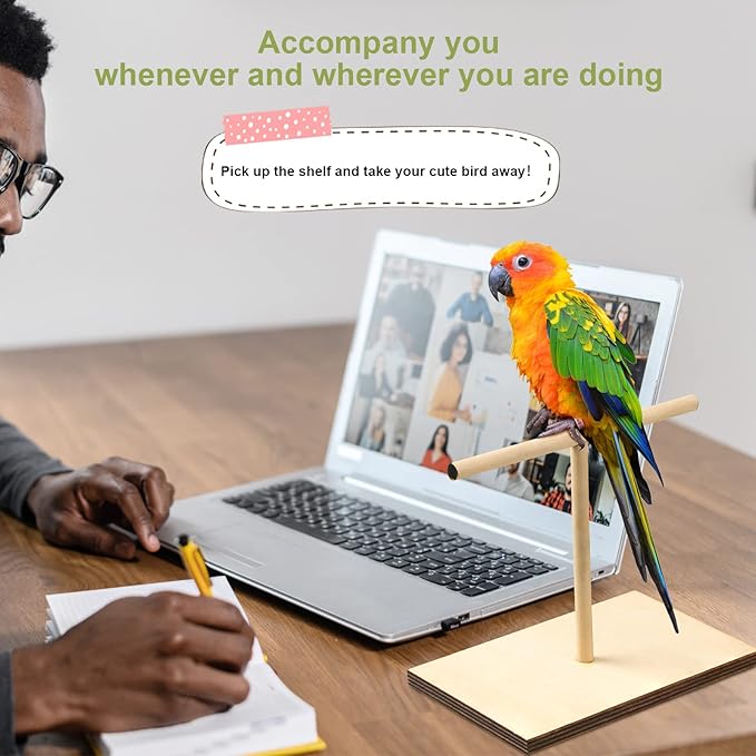 3 Pcs Bird Training Stand Kit, Parrot Training Clicker Portable Tabletop Bird Perch and Target Stick, Wooden Spin Perch Clickers with Wrist Strap for Parakeet Conure Lovebird Cockatiel