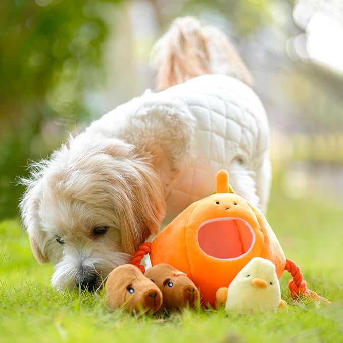 MewaJump Hide and Seek Small Dog Toys, Squeaky Dog Plush Toys for Small Dog, Pumpkin and Animal Crinkle Plush Stuffed Dog Toy, Small Puppy Cat Toy Set to Keep Them Busy