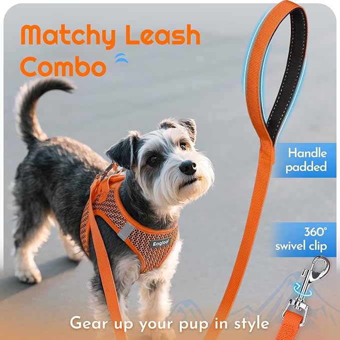 Eagloo Small Dog Harness and Leash Set, Step in Puppy Vest with Breathable Soft Mesh, Walking Reflective Pet Harness for Small Dogs, Orange, XS