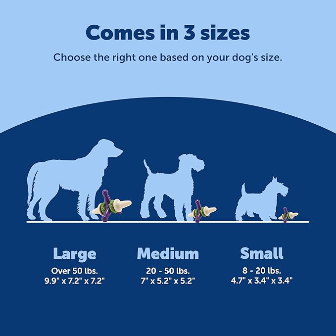 PetSafe Premier Busy Buddy Jack Pet Toy, Large