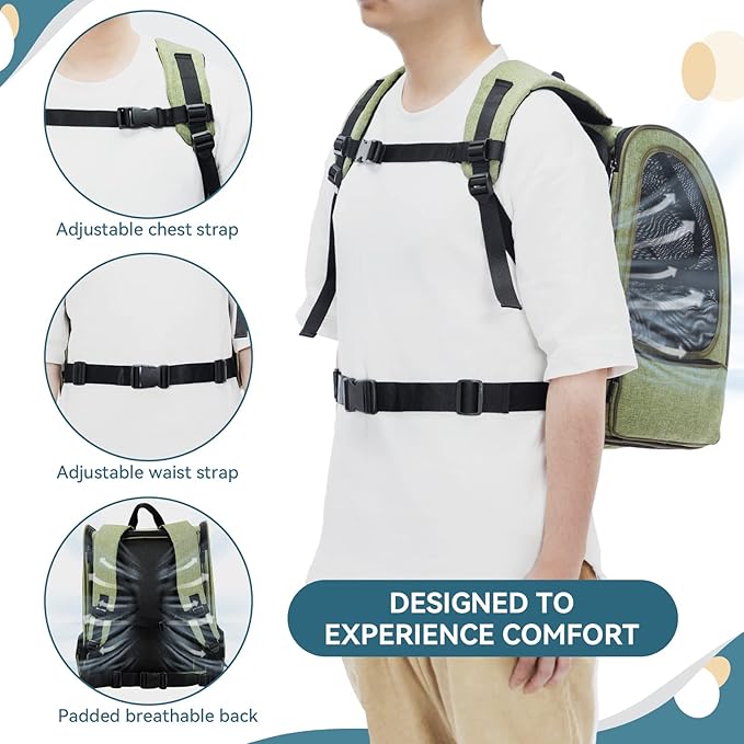 Petsfit Expandable Pet Backpack Carrier for Cats & Small Dogs up to 18 lbs – Foldable Travel Backpack with Mesh Ventilation & Lockable Zippers for Hiking, Camping – Green