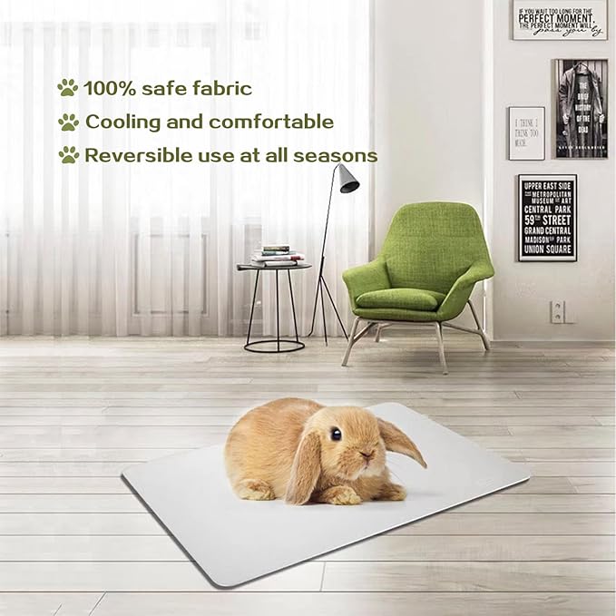 Rabbit Cooling Pad, 11.8x7.9 IN Hamster Cooling Mat Pet Cool Plate for Rabbit Bunny Hamster Guinea Pig & Other Small Pets Stay Cool This Summer - Bite Resistance Pet Cooling Pad Ice Bed (2PCS)