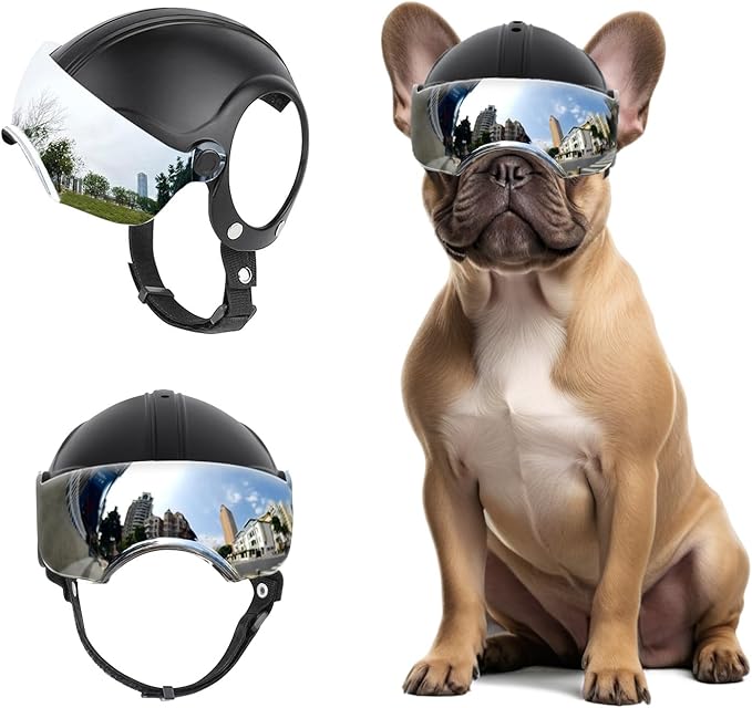 Small Dog Helmet, Pet Motorcycle Helmet with Ear Holes, Adjustable Pet Safety Hat with Flip-Up Silver Visor, Small-Medium Puppy Heads Protection, Non-Spiked