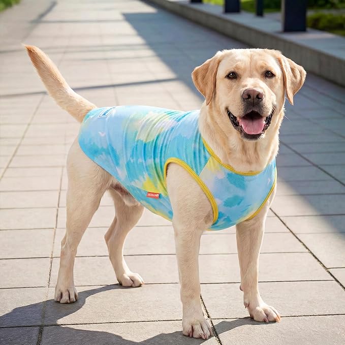 KYEESE 2Pack Dog Cooling Shirt, Breathable Dog Shirt for Dogs, Sun Protection Dogs Cooling Vest Tank Top, Lightweight Soft Sleeveless Summer Pet Clothes, Purple+Blue, 3XL