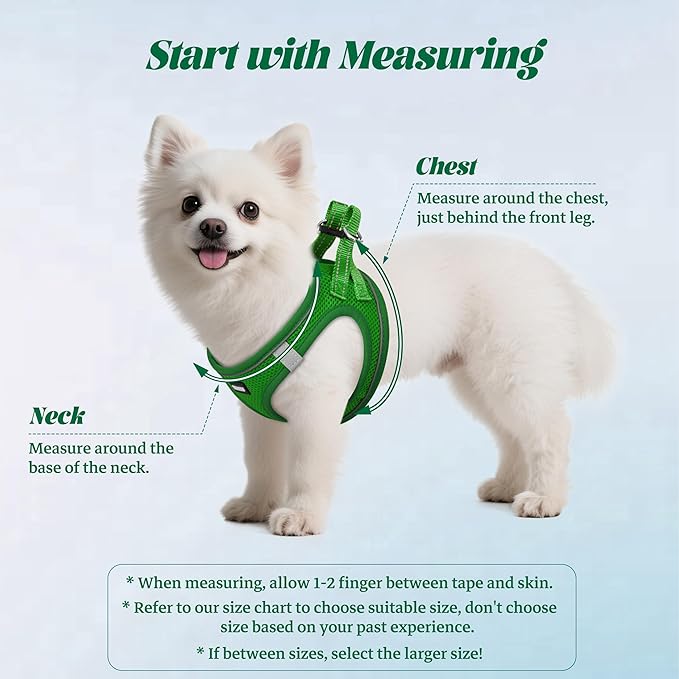 YIMEIS Dog Harness and Leash Set, No Pull Soft Mesh Pet Harness, Reflective Adjustable Puppy Vest for Small Medium Large Dogs, Cats (Green, Small (Pack of 1)