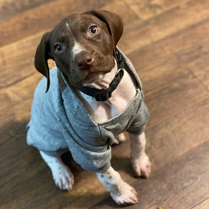 Jecikelon Soft Dog Hoodies for Small Dogs, Fleece Puppy Sweatshirt with Pockets, Warm Winter Cold Weather Coats for Pet Cat, Cute Clothes Puppy Costume (Grey, X-Large)