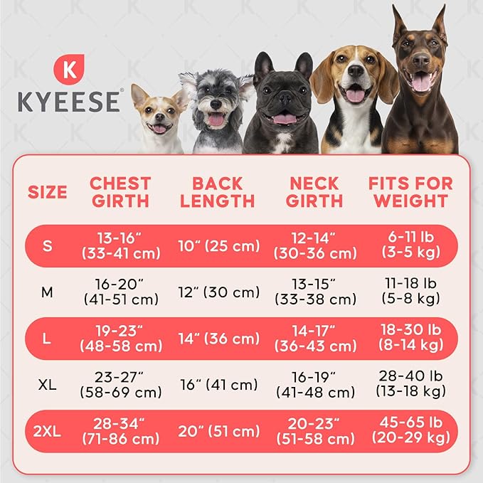 KYEESE Dog Cooling Vest, Breathable Mesh Dog Cooling Shirt for Small Dogs with D-Ring, Sun Protection Reflective Dogs Cooler Jacket with Adjustable Buckle for Summer Hiking Walking, Blue, S