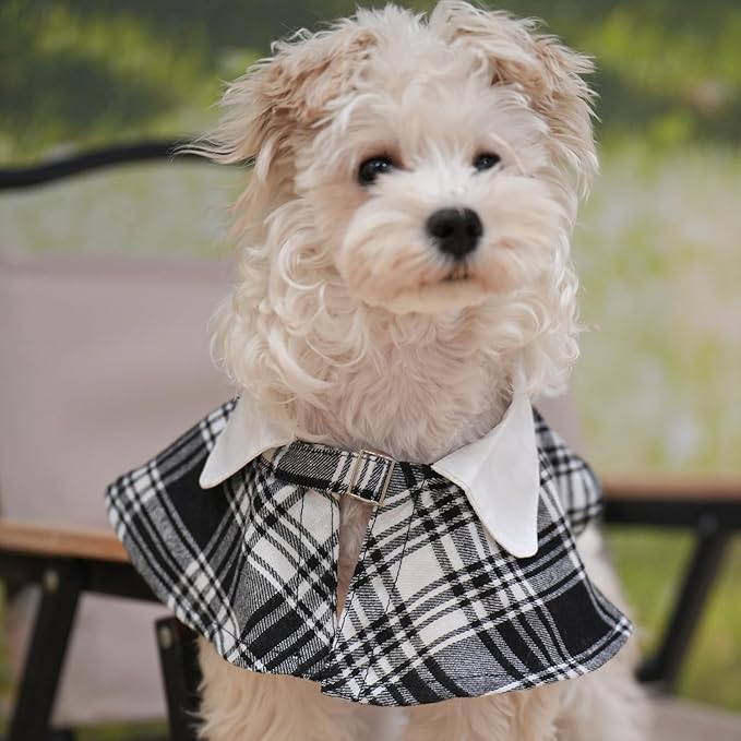 Dog Tuxedo Wedding Suit Shirt with Bow Tie, Formal Outfit Tux Attire for Puppy Small Medium Dogs Cats Costume (Black Scarf, Large)