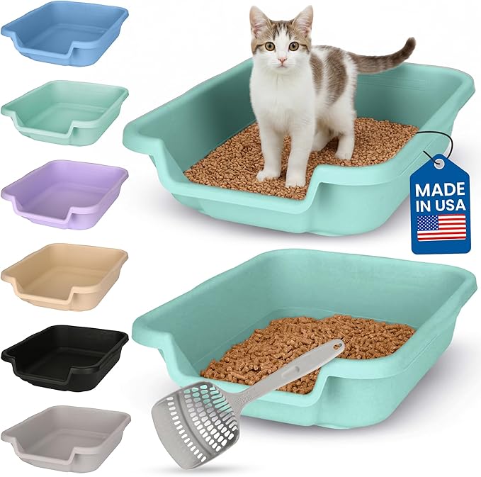 KittyGoHere Senior Cat Litter Box, Small litter pan with Long-Handle Jumbo Scoop, Open Top Low Entrance Kitty Litters Box, Lightweight Low Entry Litter Box, Durable, Made in USA (2 Pack - Apple Green)