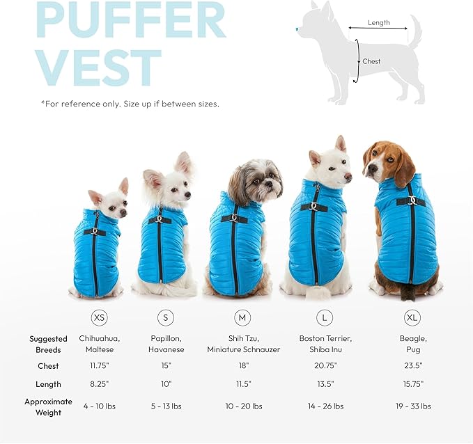 Gooby Puffer Vest - Turquoise, X-Small - Ultra Thin Zip Up Wind Breaker with Dual D Ring Leash - Water Resistant Small Dog Sweater Coat - Boy or Medium
