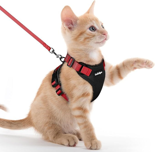 rabbitgoo Cat Harness and Leash Set, Escape Proof Kitten Harness for Safe Outdoor Walks, Soft Breathable Adjustable Vest with Reflective Strips for Kittens and Extra Small Cats, Black & Red, XXS