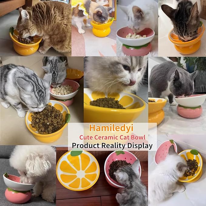 Hamiledyi Ceramic Raised Cat Bowls 15° Tilted Elevated Kitten Food Water Bowl Shallow Whisker Fatigue Kitty Dish Fruit Pet Feeding Bowls Feeder for Indoor Cats Small Dog (Yellow Orange)