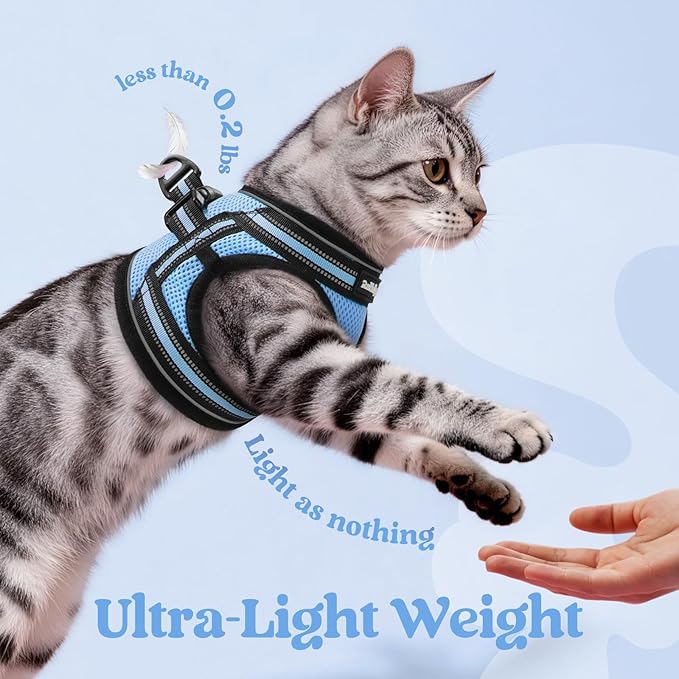 rabbitgoo Cat Harness and Leash, Step-in Escape Proof Kitten Harness Set, Soft Comfortable Cat Vest, Easy to Wear and Adjust, Reflective for Safe Outdoor Walking, Light Blue, Medium